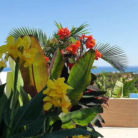 Happyplace - With Panoramic Sea View Heated Infinity Saltwater Pool Villa